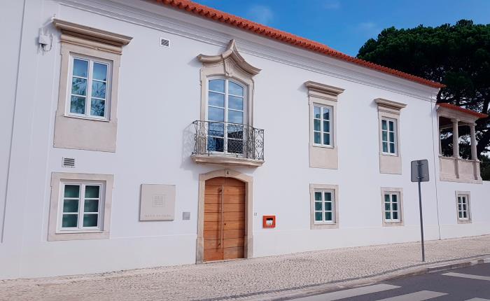 Museu da Pedra já permite visita virtual interativa