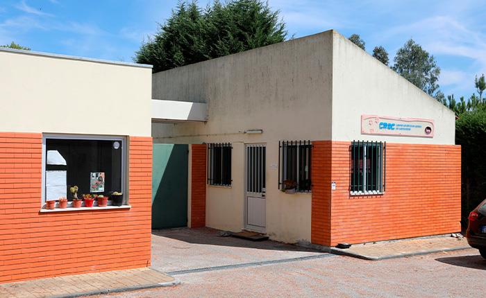 Município de Cantanhede suspende adoções de animais