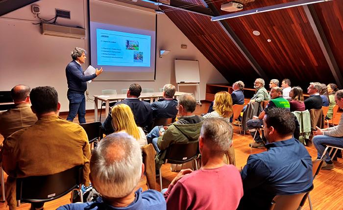 Autarcas tiveram ação sobre espaços verdes e arvoredo urbano