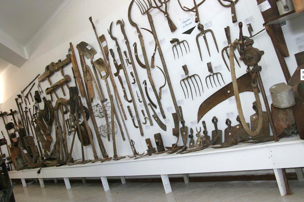 Município de Cantanhede