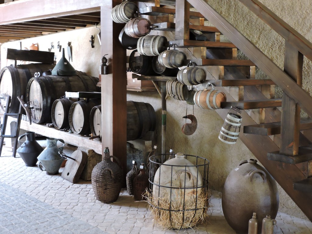 Município de Cantanhede